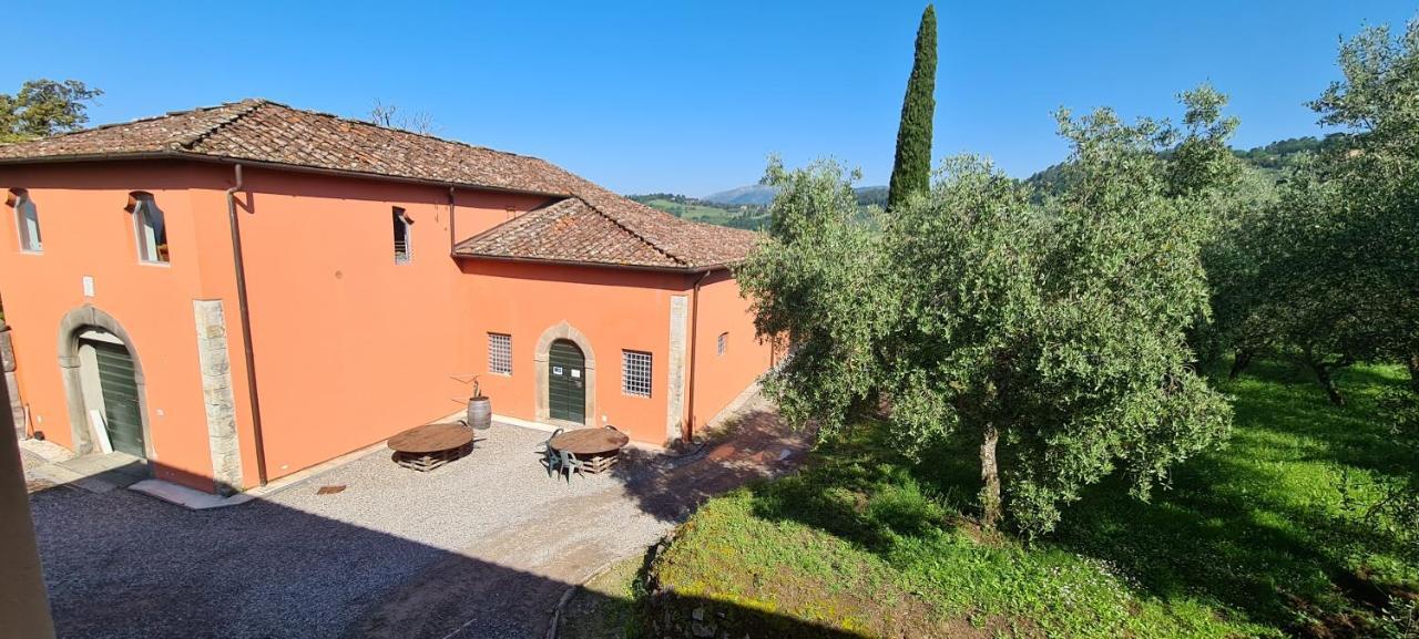 Agriturismo Villa Sardini Lucca Exterior photo
